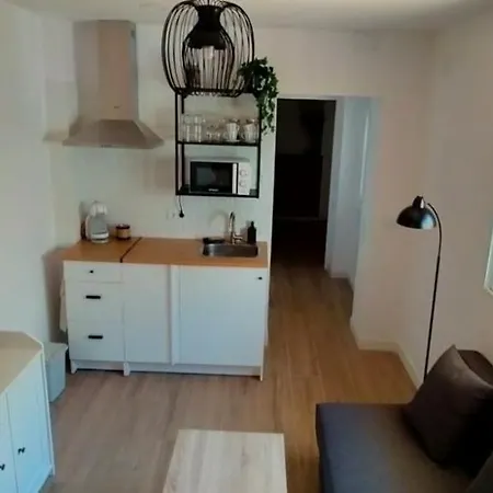 Apartment Apartamento El Limonero